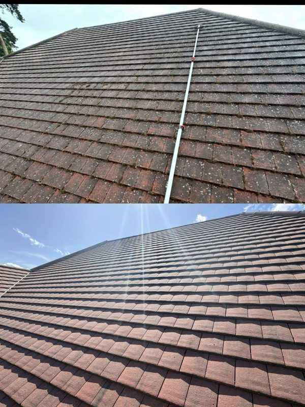 roof cleaning before and after great results